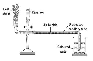 icse-class-10-biology-competency-focused-practice-questions-solution